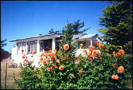 the Willow cottage