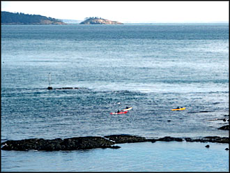 Kayakers At Cabins On The Point