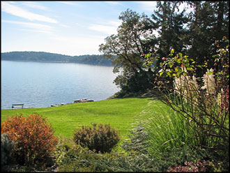 South Lawn of Cabins on the Point